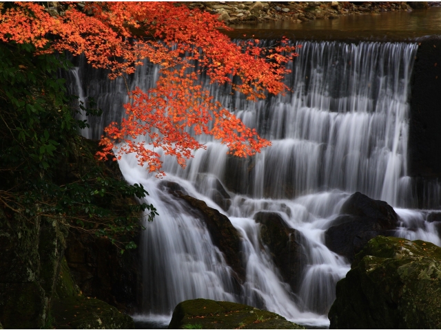 入賞「秋色に染まる滝」
