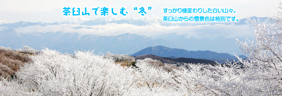 茶臼山で楽しむ“冬”