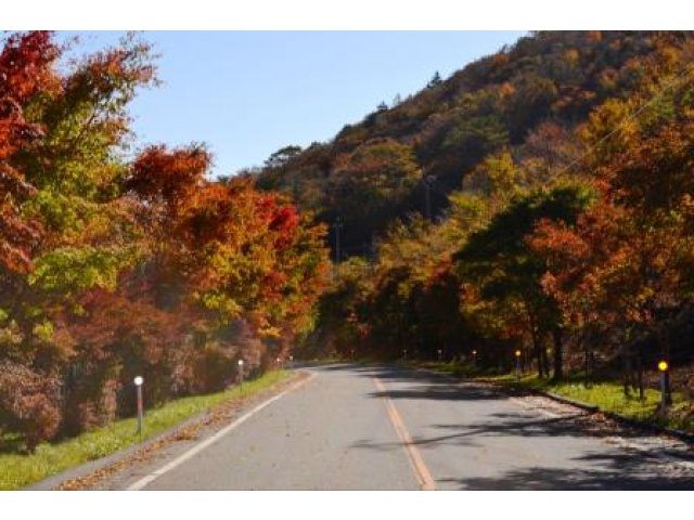 『高原道路』