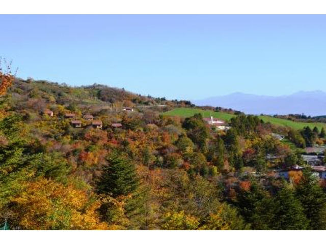 次は『茶臼山』