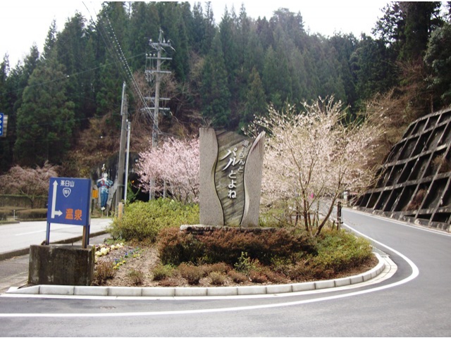 温泉スタンドに咲く桜