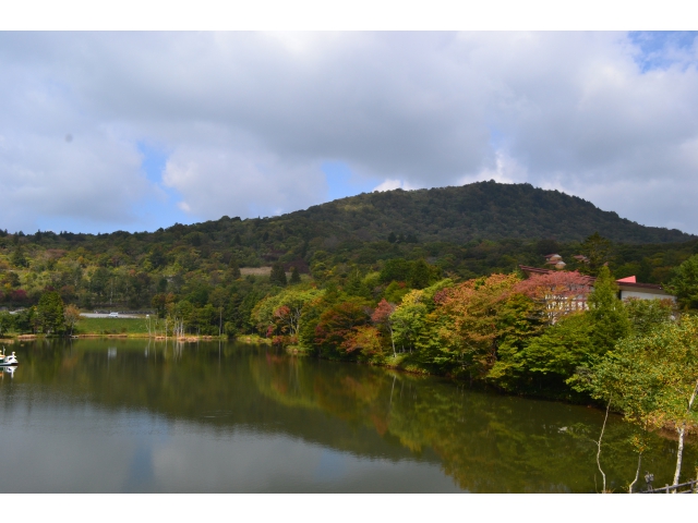 池の周りのいい感じに色づいてきましたヽ(*´∀｀*)ﾉ.+ﾟ