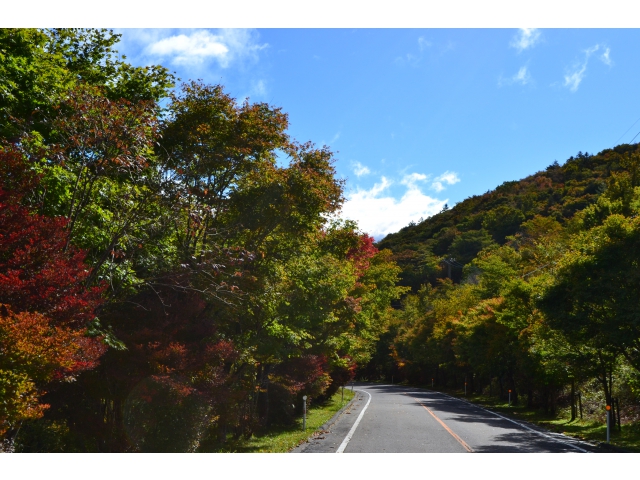 茶臼山高原道路終点付近