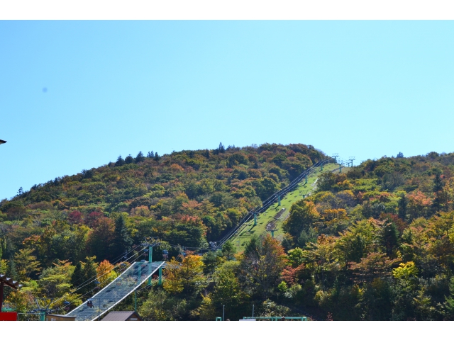 萩太郎山