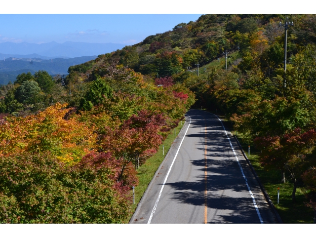 茶臼山高原道路