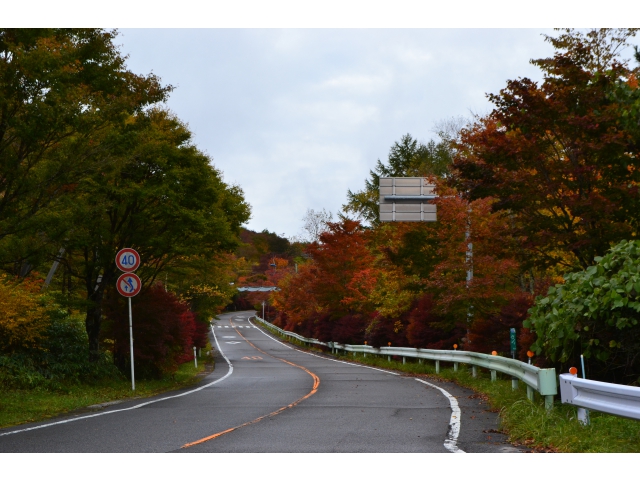 高原道路終点