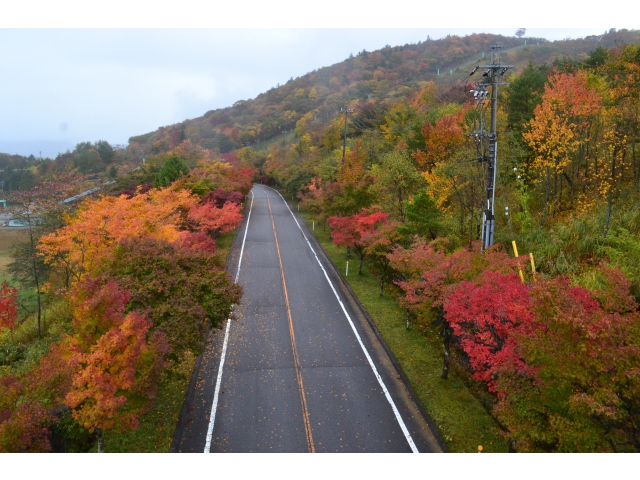 茶臼山高原道路終点付近