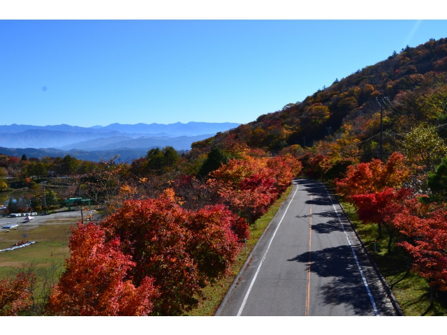 第二駐車場への高原道路