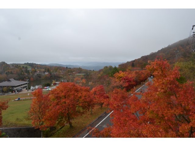 高原道路終点