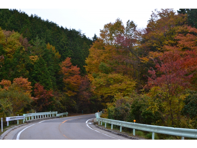 茶臼山高原道路（3）