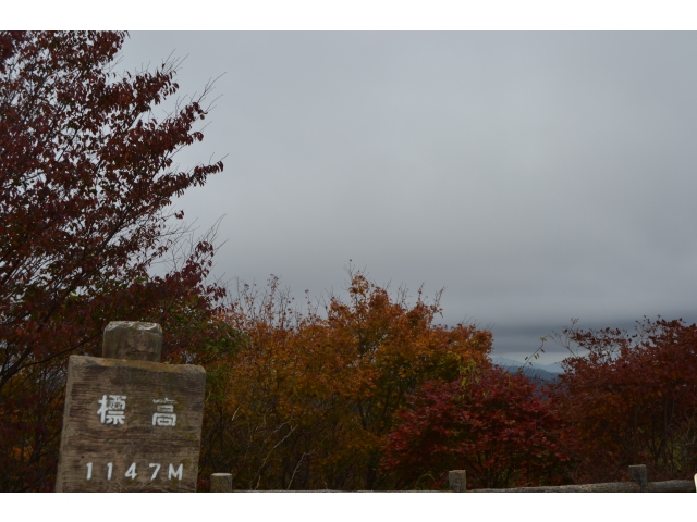 茶臼山高原道路（1）