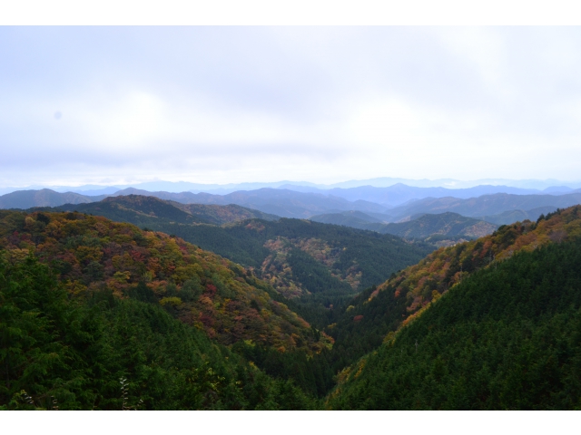 茶臼山高原道路（2）