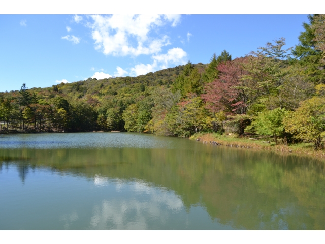 芹沼池