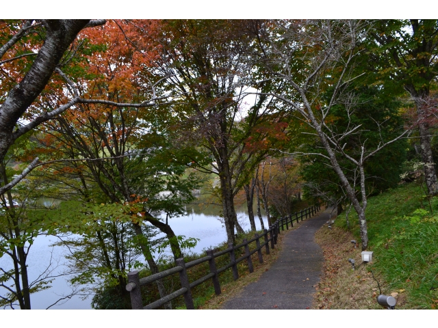 芹沼池から美術館までの遊歩道