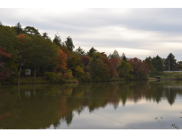 芹沼池に映った紅葉