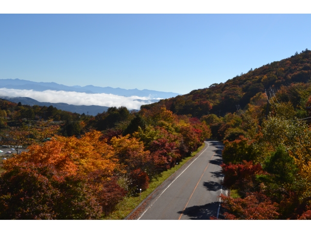 高原道路終点付近