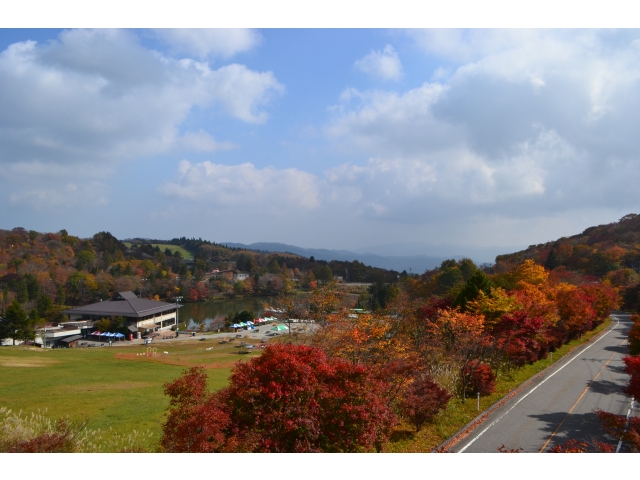 今日は雲が多いので紅葉もしっとりしていますね。