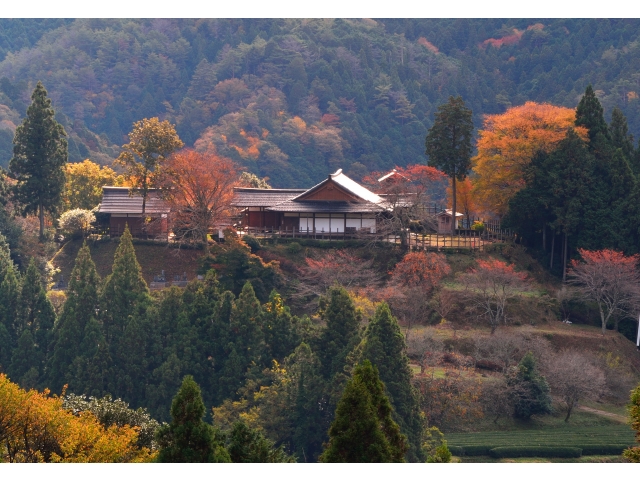 撮影日：2015/11/11 8：30　タイトル「晩秋の田峯城」　1/10秒。ｆ/20 135mm　ISO400