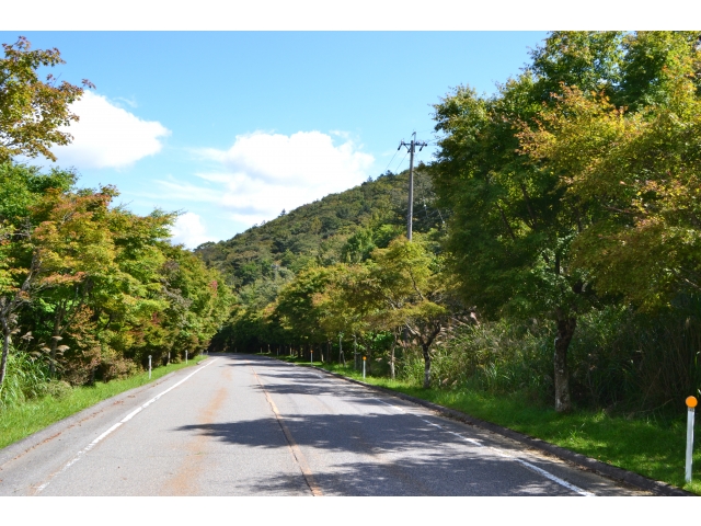 高原道路