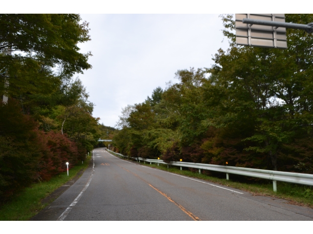 高原道路