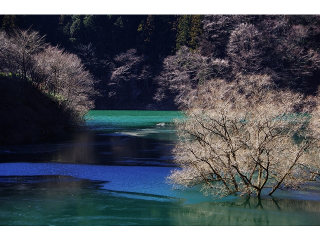 入賞「真冬のみどり湖」