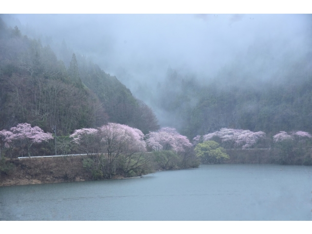 豊根村特別賞　「春の靄」