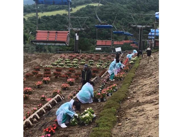 植栽中(*´▽｀*)