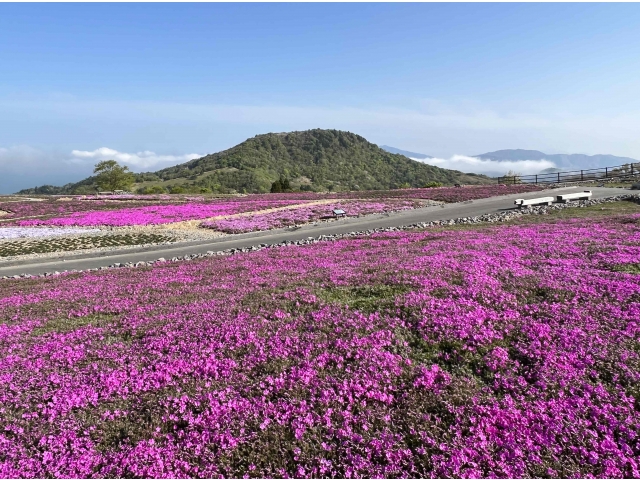 ５月８日