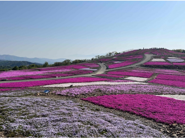 ５月１９日