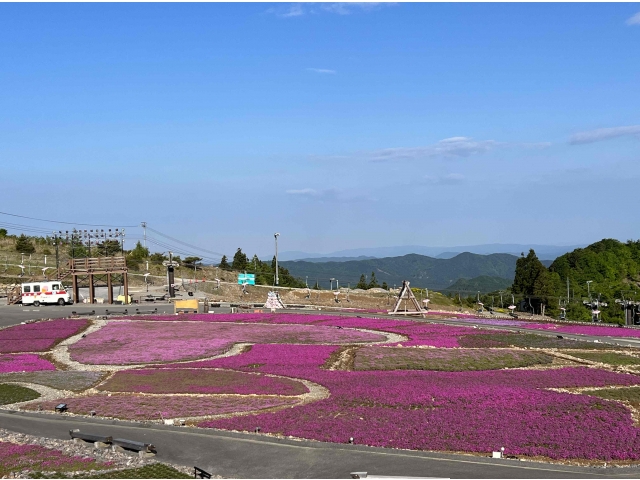 5月２８日