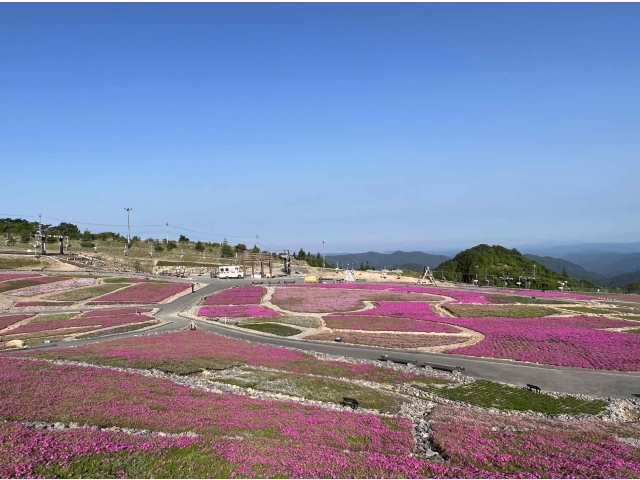 ６月３日