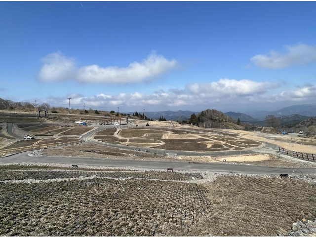 ４月４日（火）現在