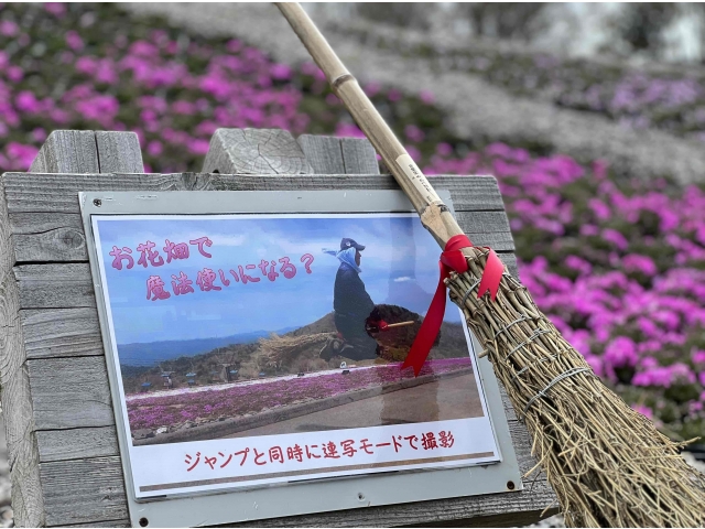 ４月２９日（土）現在