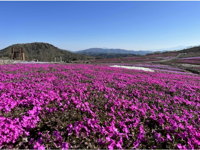 ５月２日（火）現在