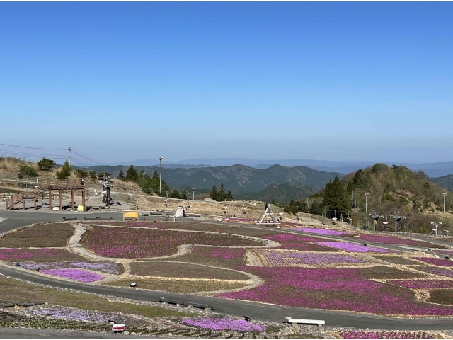 ５月２日（火）現在