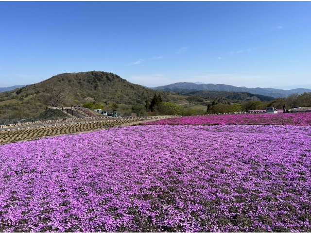 ５月３日（水）現在