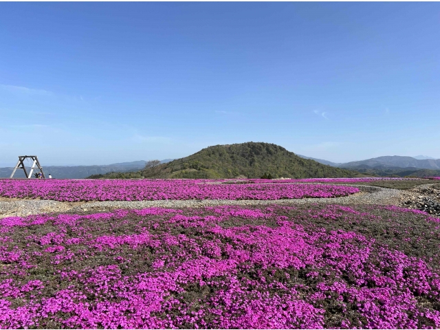 ５月５日（金）現在