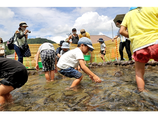 まずは魚を捕まえる