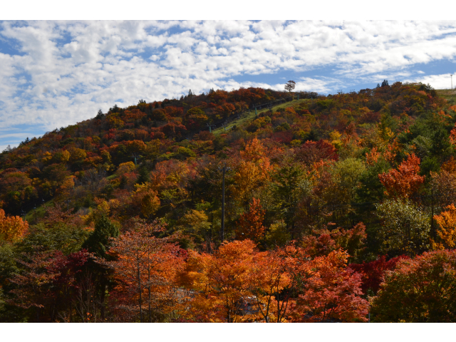 萩太郎山　2014/10/24