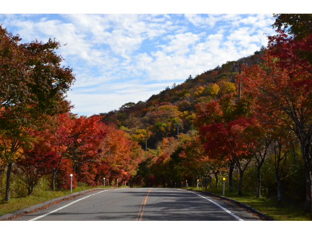 高原道路　2014/10/24