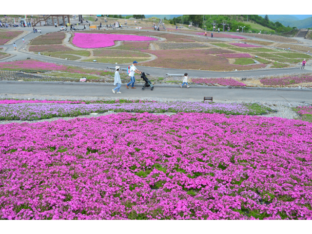 入選　「いやしの花園」