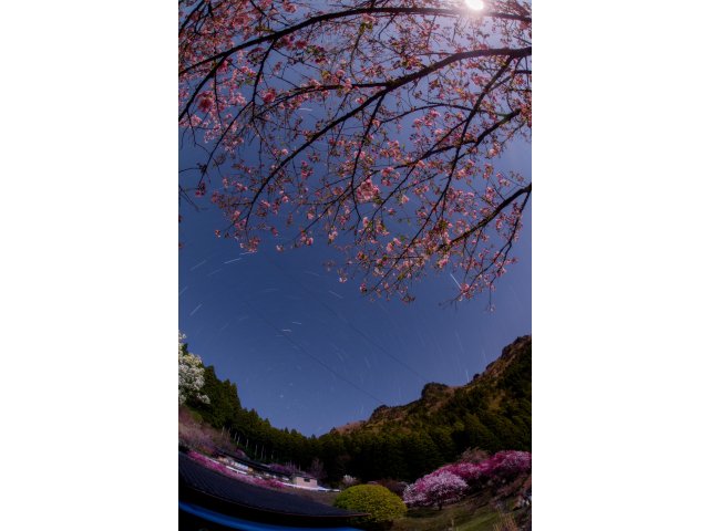 優秀賞　「Moon　Light・春の彩り」