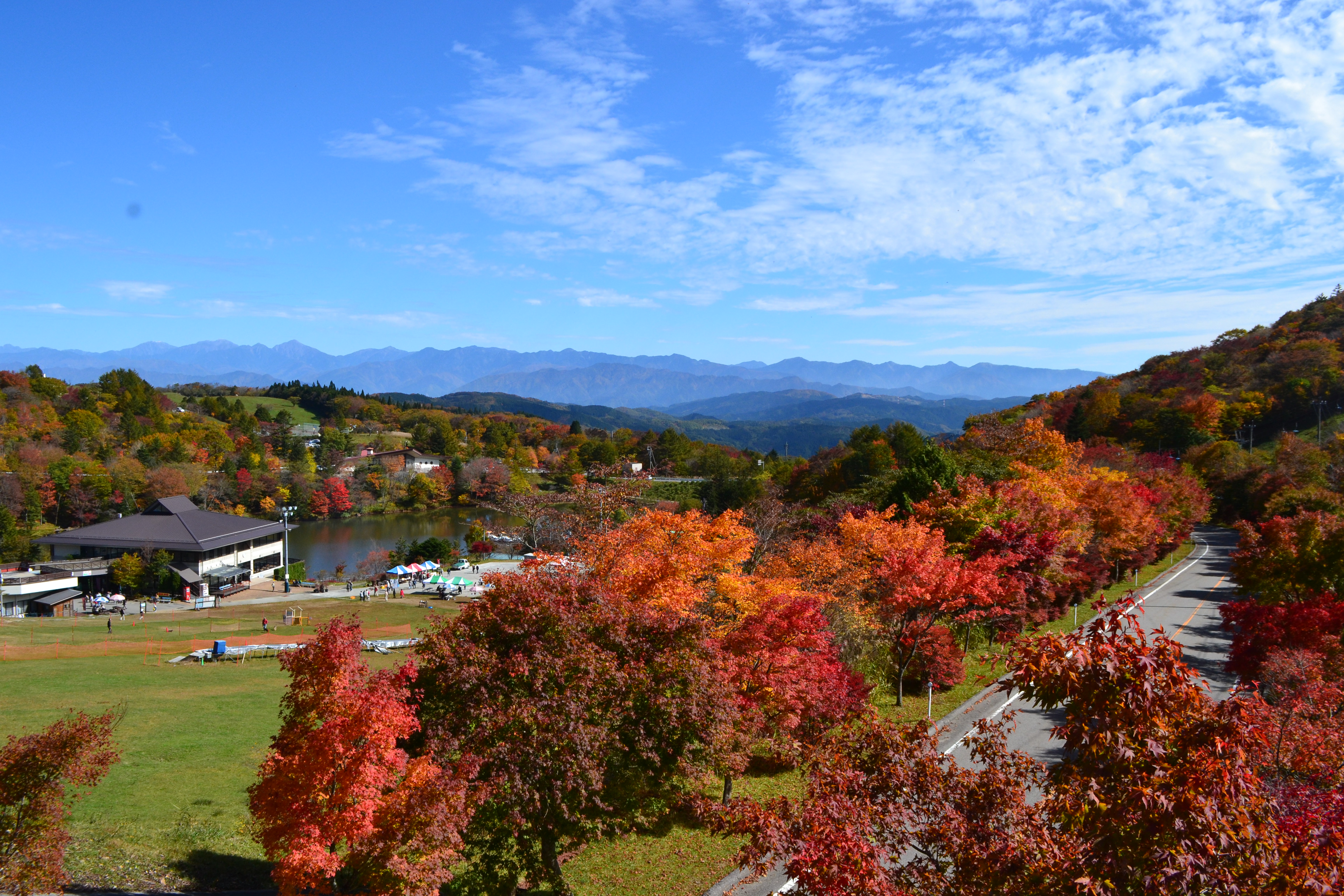 2014見頃の写真　2014.10.25