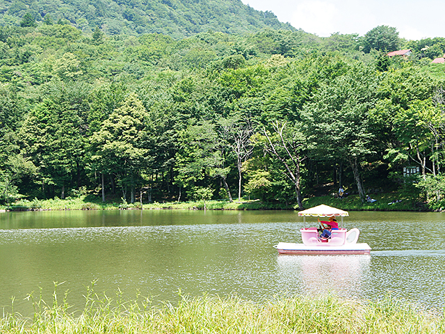 大きな湖で足こぎボートが楽しめます