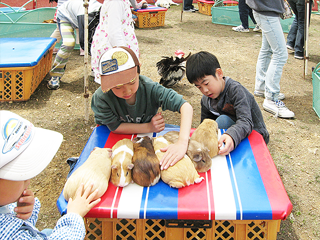 移動動物園でたくさんの動物たちとふれあえます