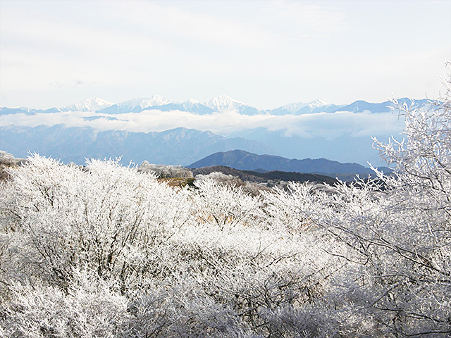 天気が良いと遠くの山々まで見えます