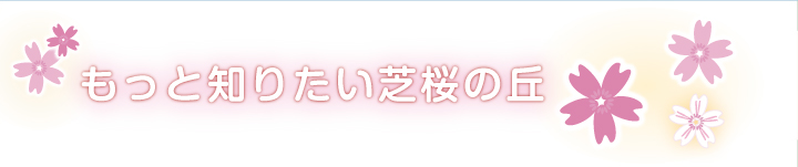 もっと知りたい茶臼山の芝桜