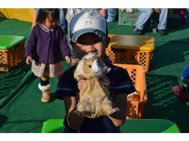 8/9・8/16　ふれあい動物園