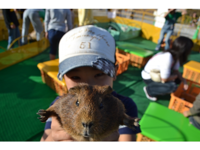 ふれあい動物園