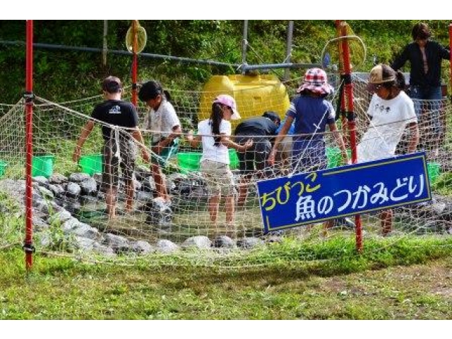 👆クリックで特設ページに移動します